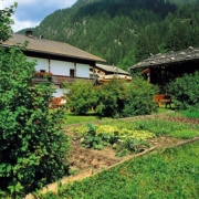 Gemüsebeet